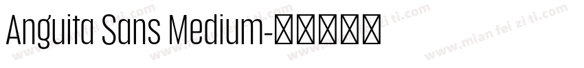 Anguita Sans Medium字体转换